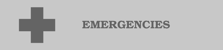 Having an Emergency? Click Here