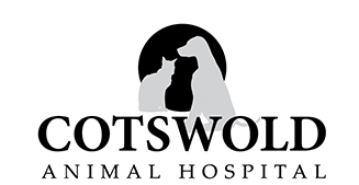 Cotswold Animal Hospital in Charlotte NC